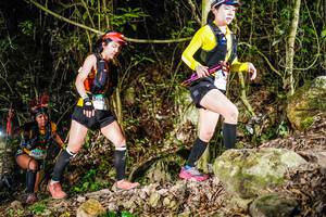 BIB: 
                            <button type="button" onclick="openModal(19380328)" class="btn btn-primary btn-sm float-right btn-popup" data-toggle="modal" data-target=".modal-high-quality">
                        <i class="fas fa-shopping-cart"></i> Add to Cart
                    </button>
                                            <button type="button" onclick="isThisMe(19380328, true)" class="btn btn-success btn-sm float-right btn-popup btn-isme hidden" data-toggle="tooltip" data-placement="bottom" title="นี่คือรูปของคุณใช่ไหม คลิกที่นี่เพื่อเอาเข้าอัลบั้ม">
                        <i class="fas fa-plus"></i> Add to album
                    </button>
                    <button type="button" onclick="isThisMe(19380328, false)" class="btn btn-warning btn-sm float-right btn-popup btn-isnotme hidden">
                        <i class="fas fa-ban"></i> Remove from album
                    </button>